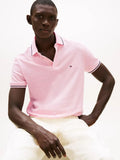 TIPPED SLIM FIT SEASONAL POLO 240833