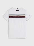 T GLOBAL STRIPE TEE S/S 213396 - LUX54